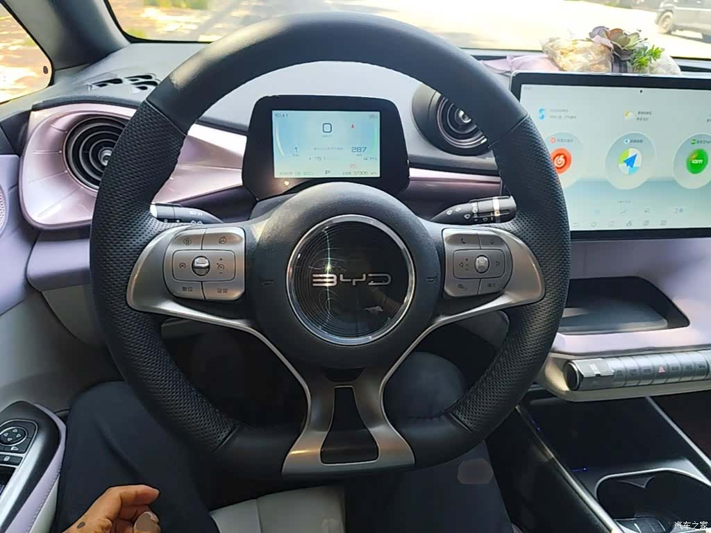 BYD Dolphin, 2022 11