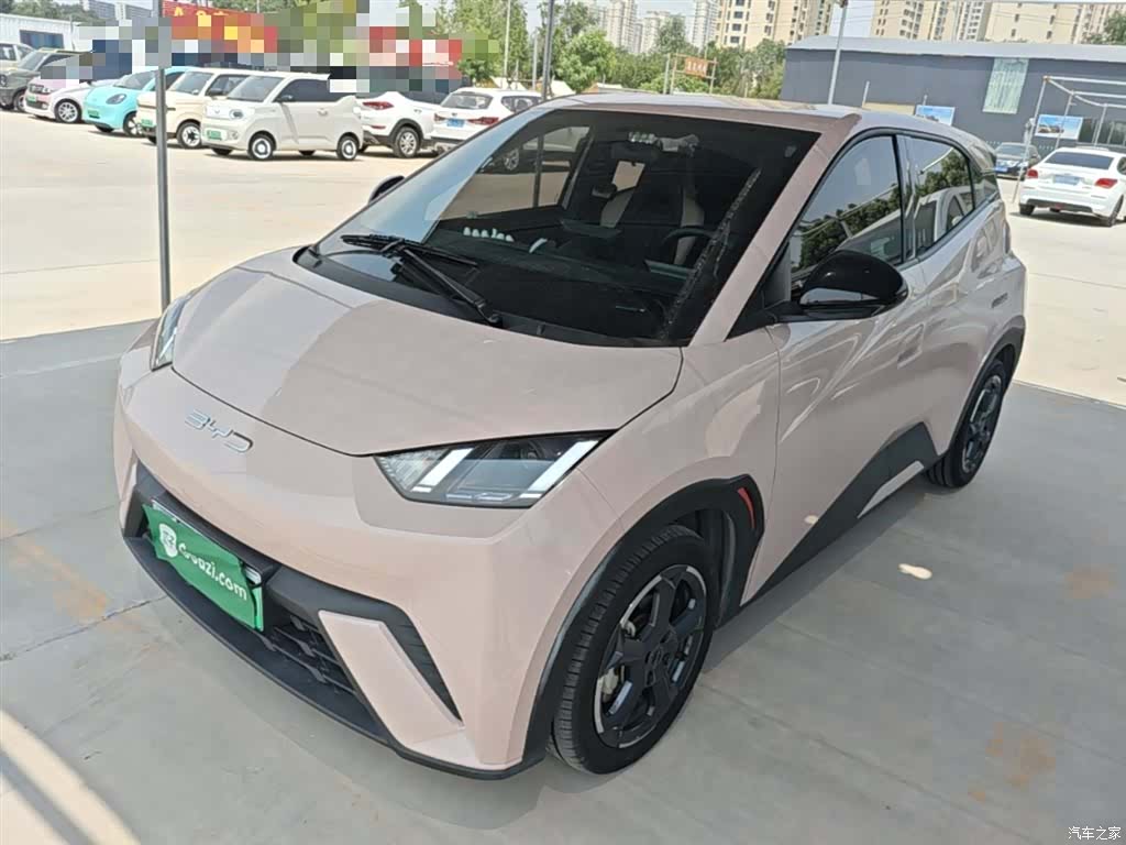 BYD Seagull, 2024 2