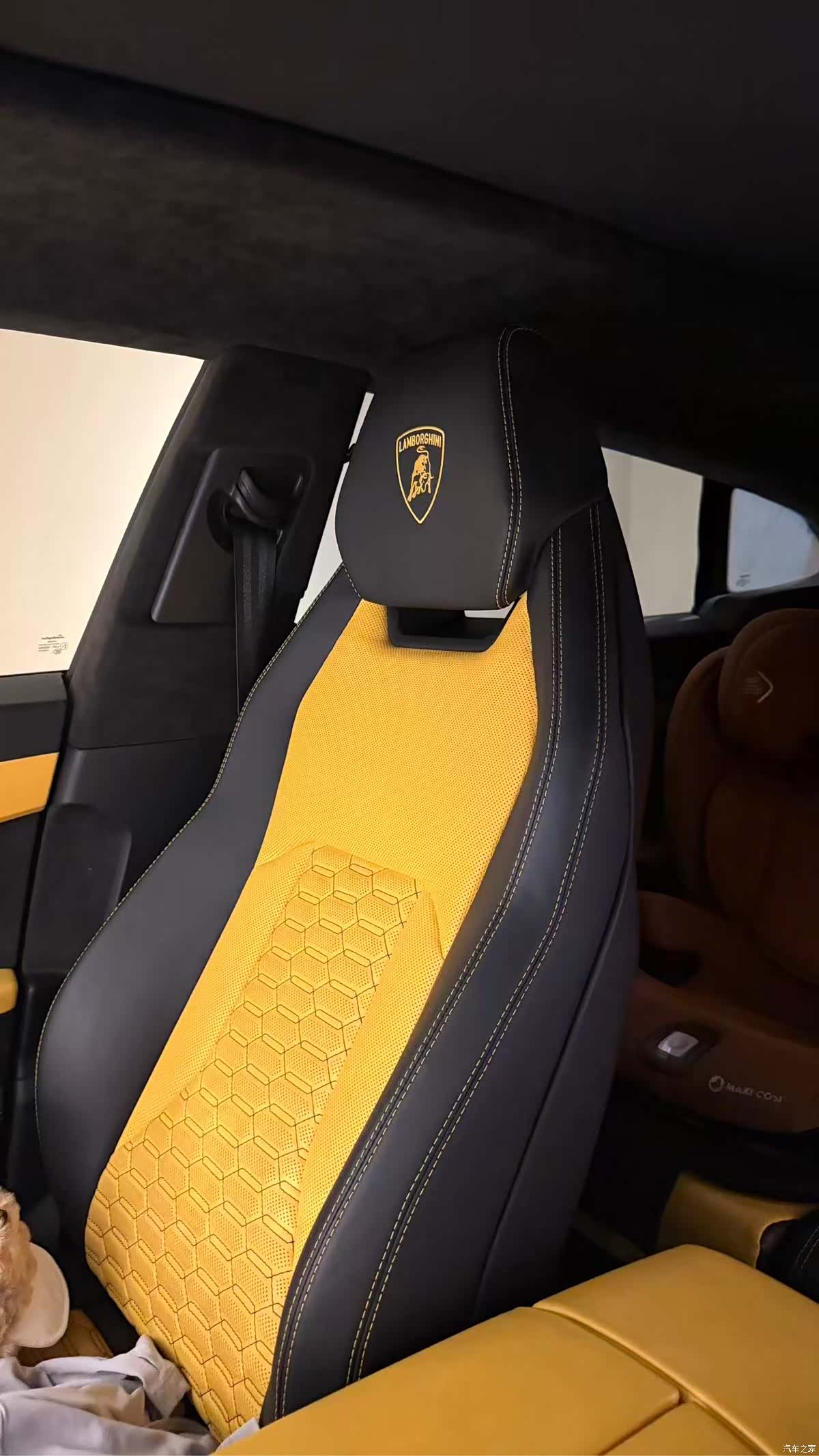 Lamborghini Urus, 2022 все фото