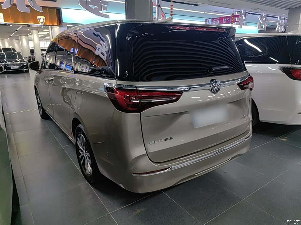 Buick GL8, 2024 все фото