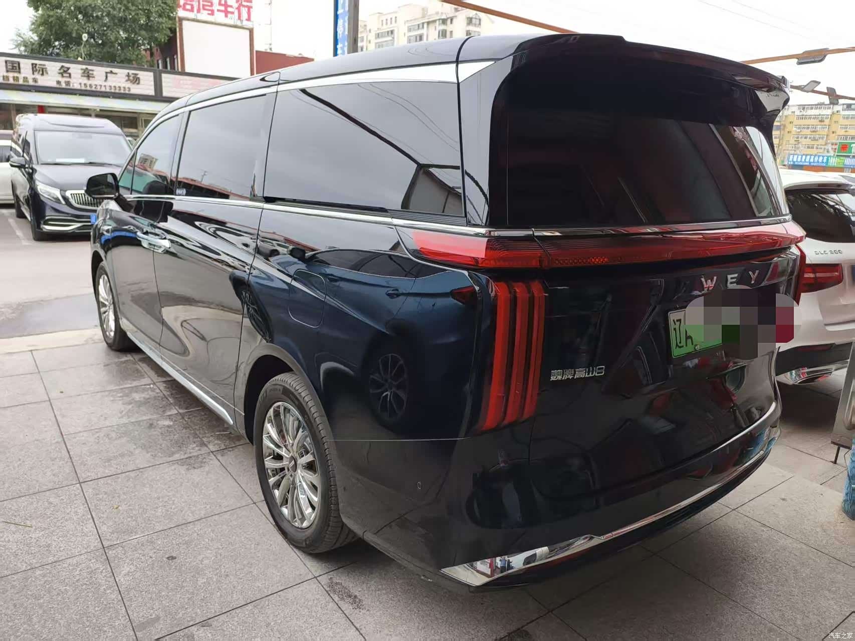 WEY Gaoshan, 2025 15