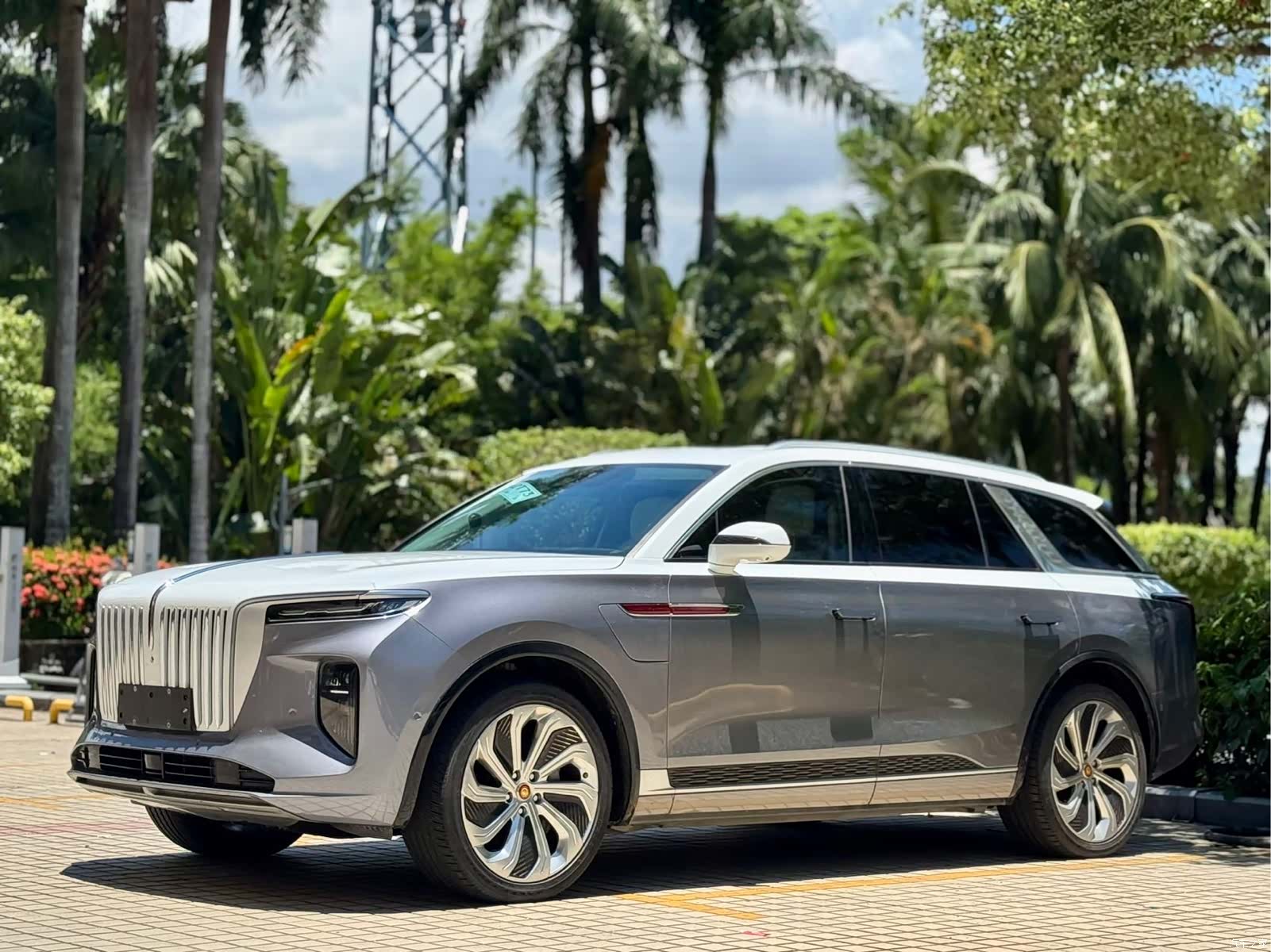 Hongqi E-HS9