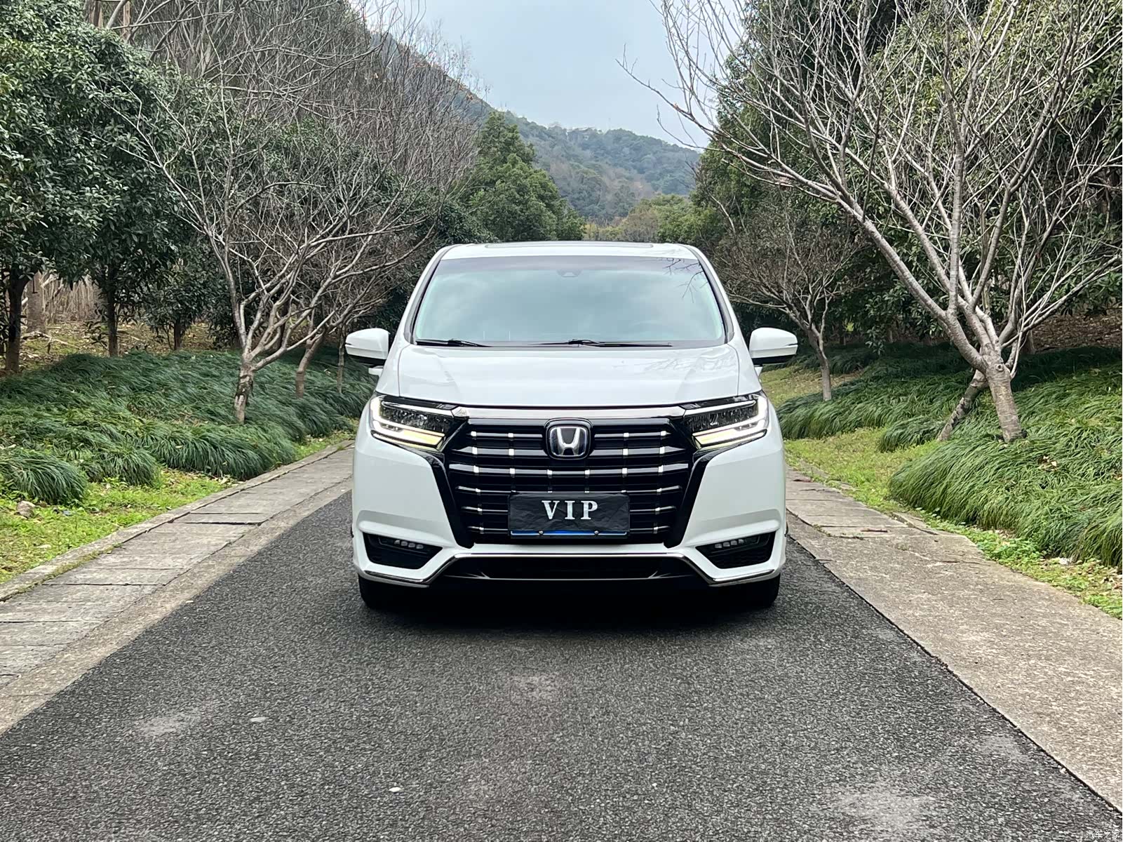 Honda Elysion, 2023 7