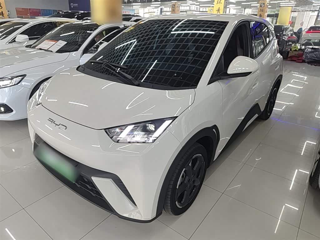 BYD Seagull