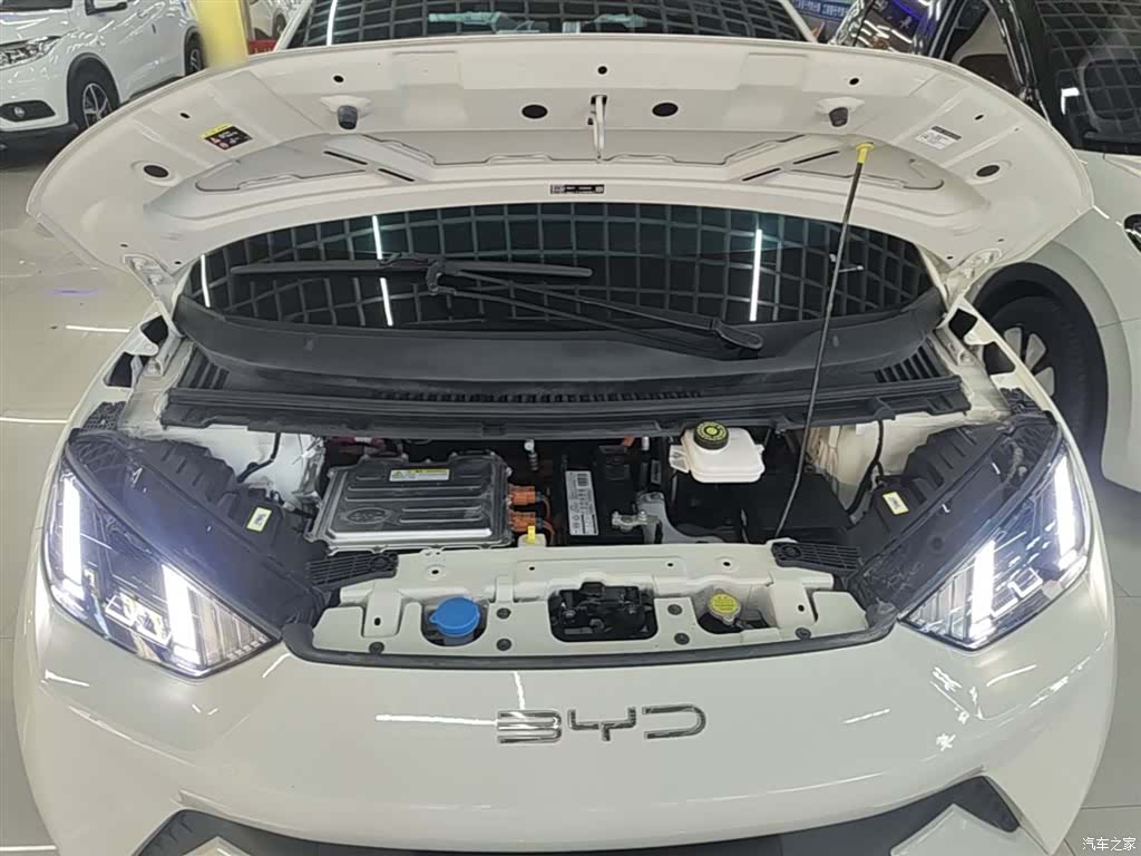 BYD Seagull, 2023 20