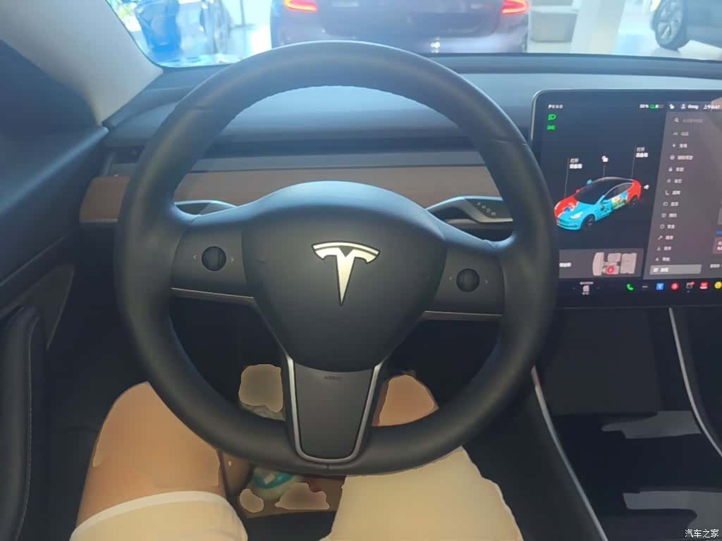Tesla Model 3, 2020 11
