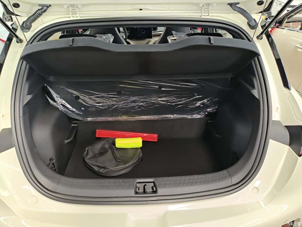 BYD Dolphin, 2026 19
