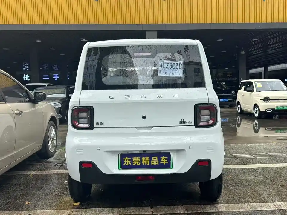 Geely Galaxy panda