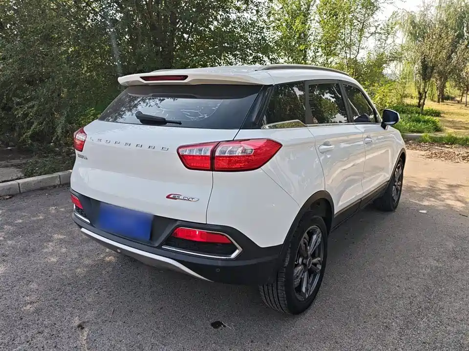 Leopaard Cheetah CS9