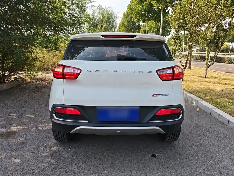 Leopaard Cheetah CS9