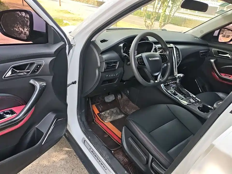 Leopaard Cheetah CS9