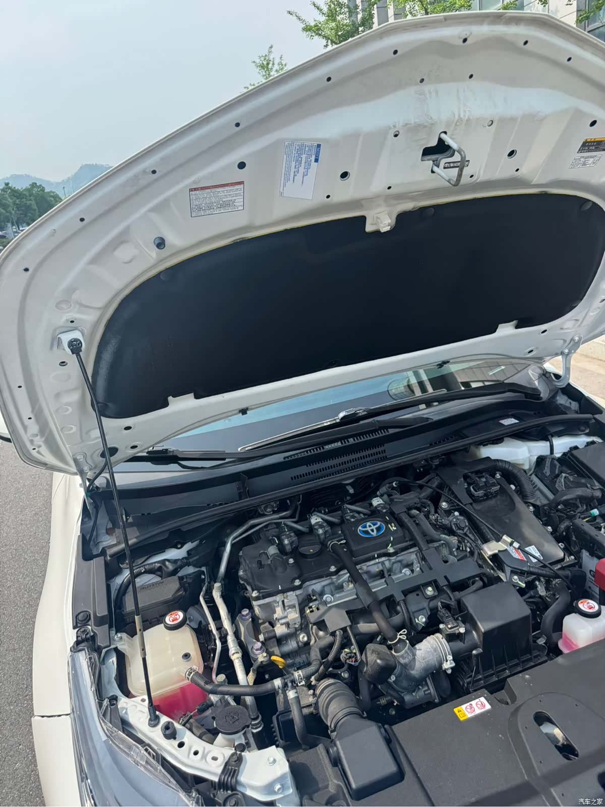 Toyota Corolla, 2023 16