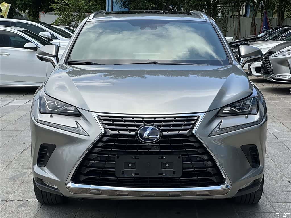 Lexus NX, 2020 2