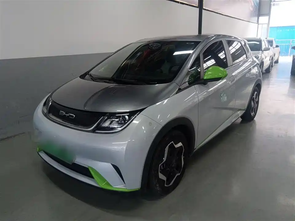 BYD dolphin