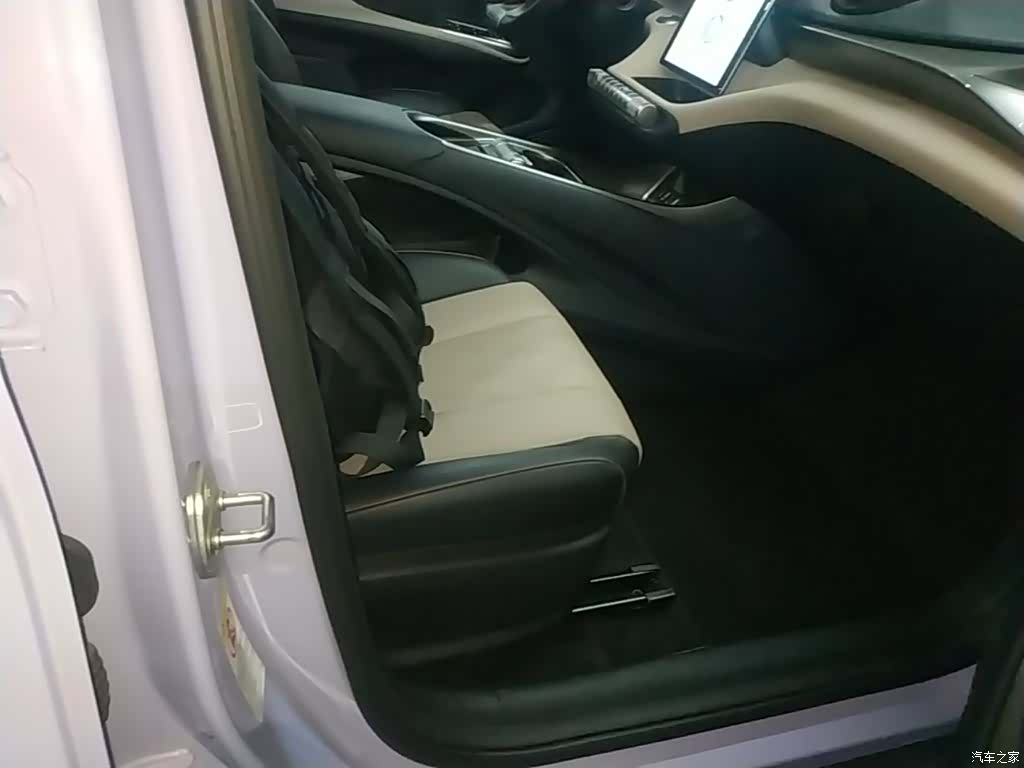 BYD Dolphin, 2024 25