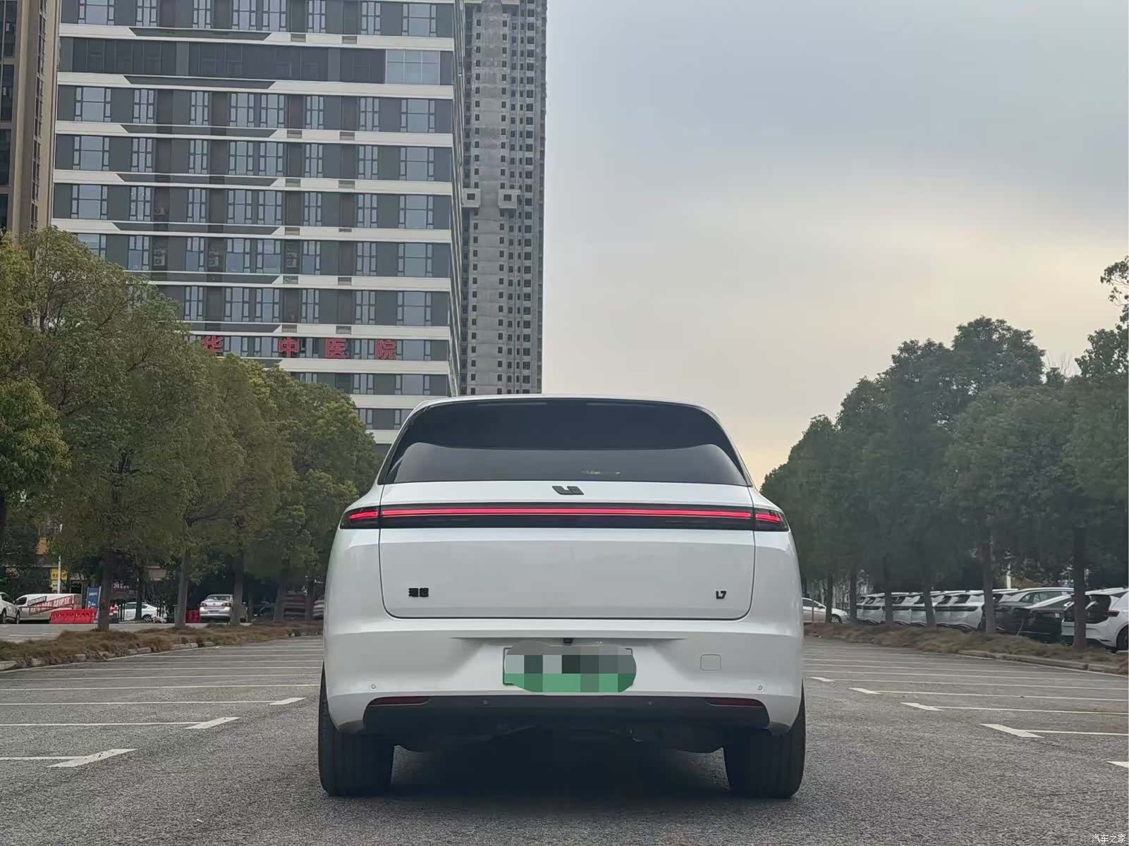 Li Auto L7, 2023 10