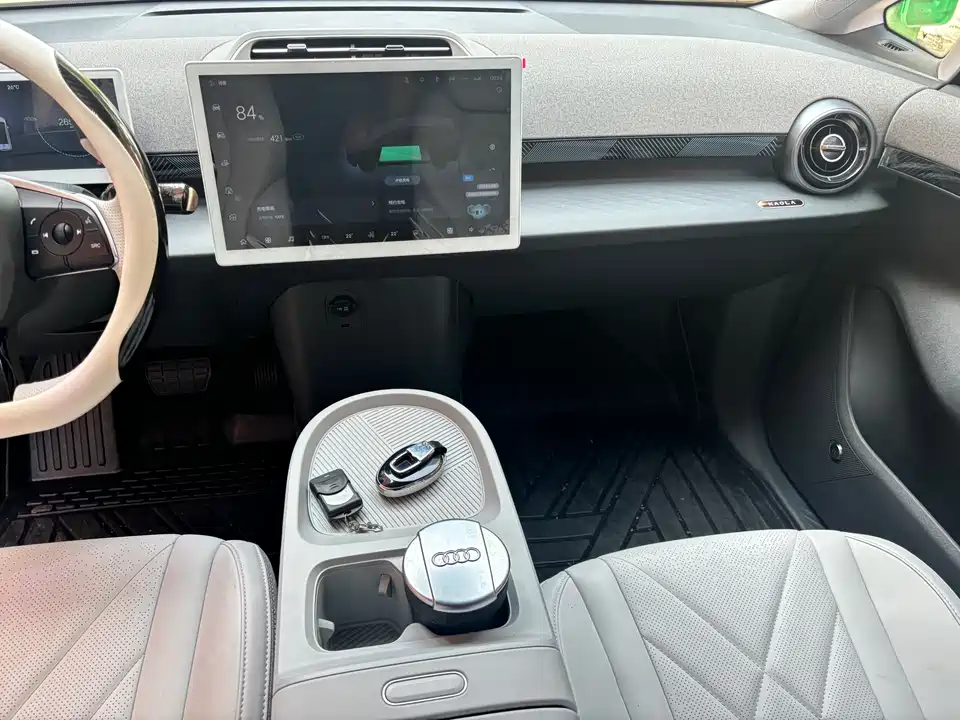 ARCFOX Polar Fox Koala S