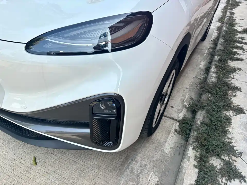 ARCFOX Polar Fox Koala S