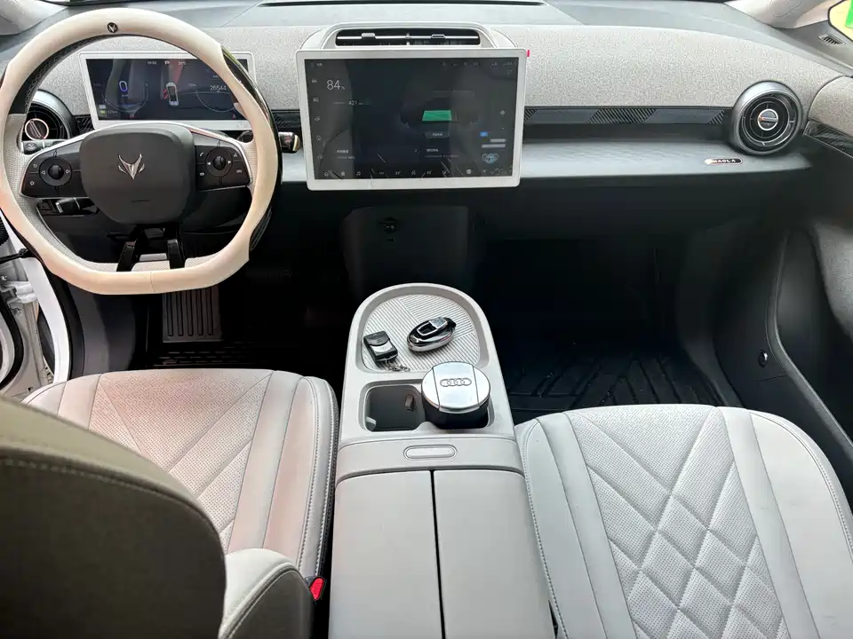 ARCFOX Polar Fox Koala S