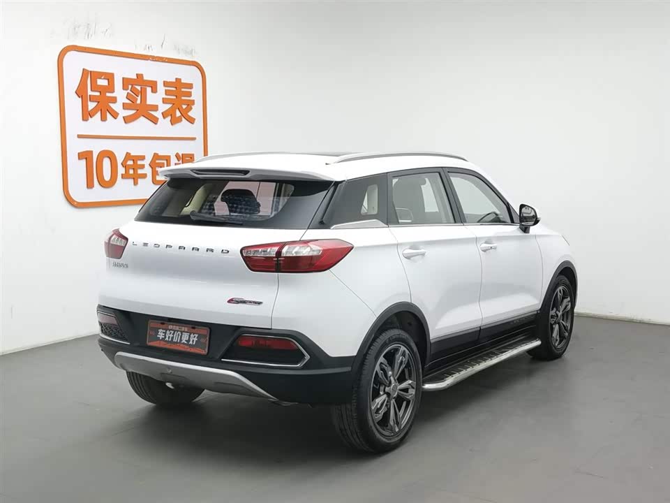 Leopaard Cheetah CS9