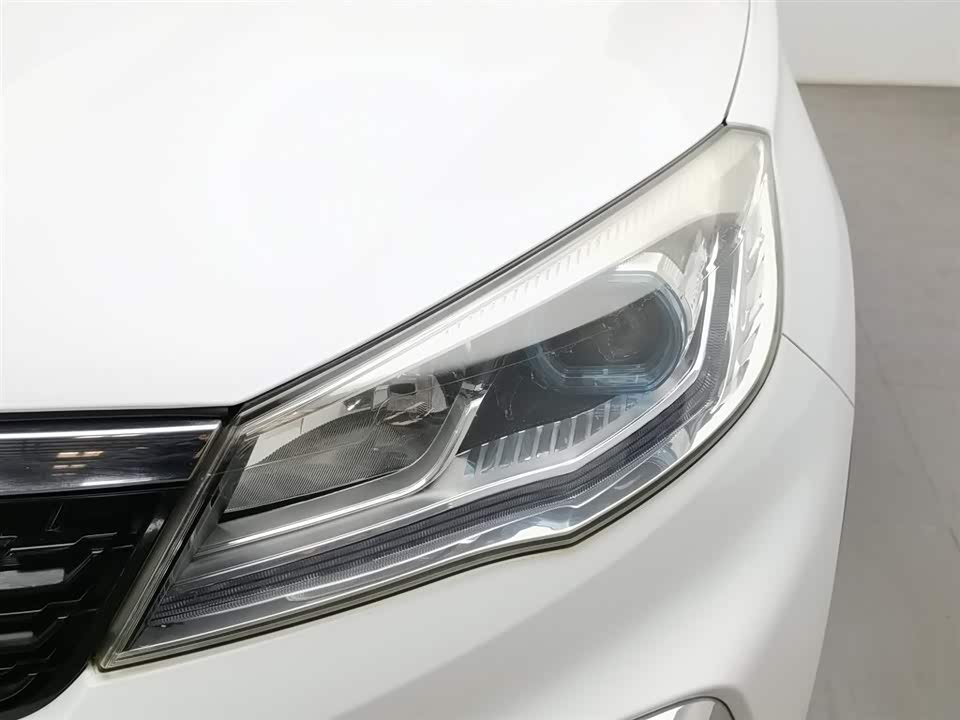 Leopaard Cheetah CS9