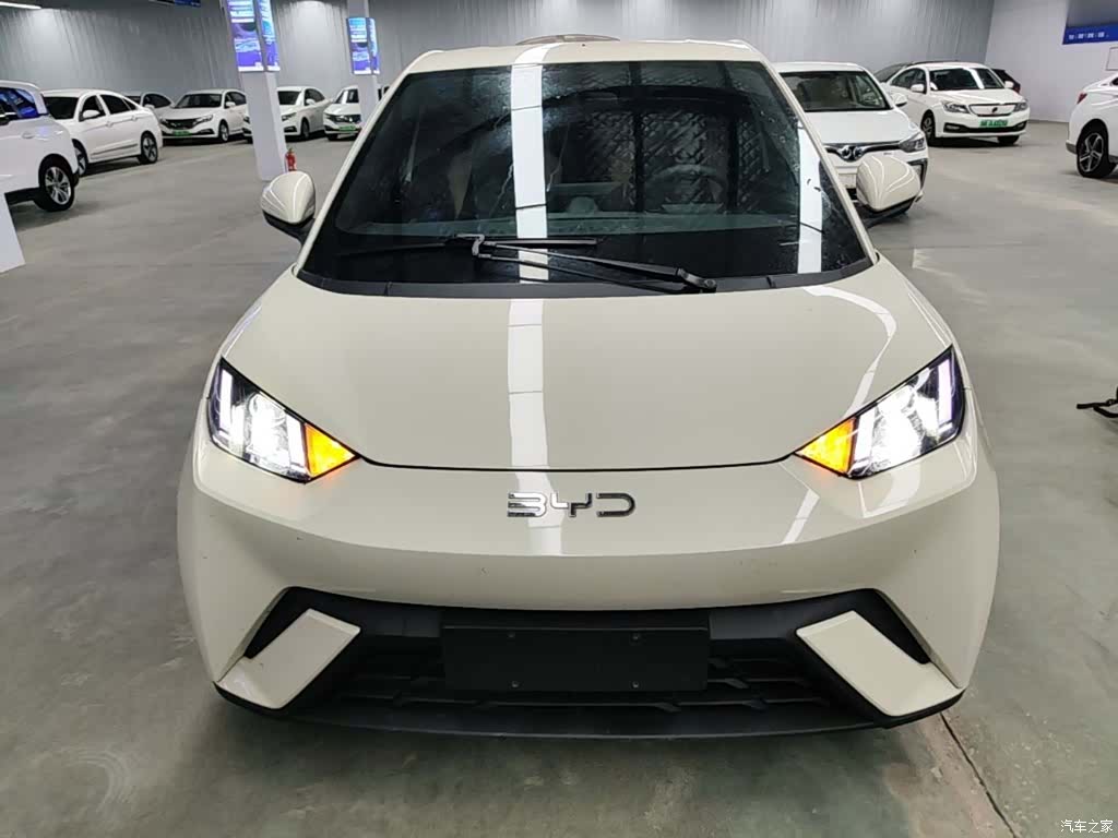BYD Seagull, 2024 3