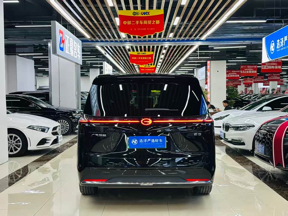Trumpchi Trumpchi E8