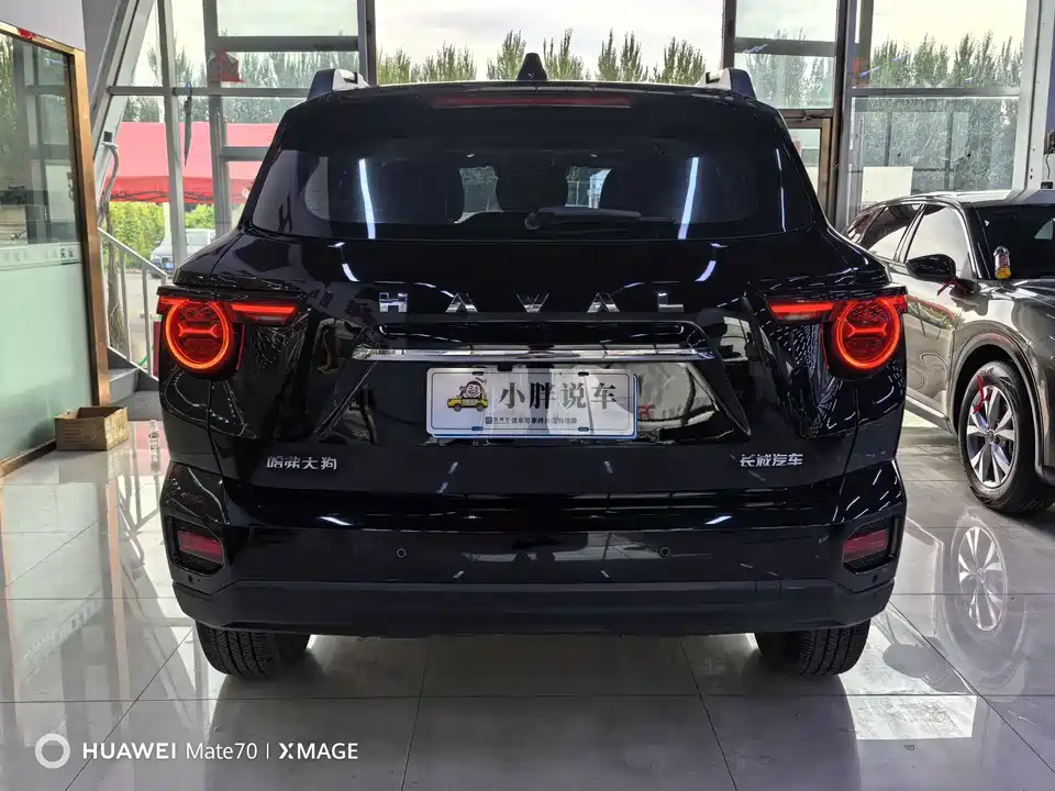 Haval Second-generation big dog Haval Second-generation big dog