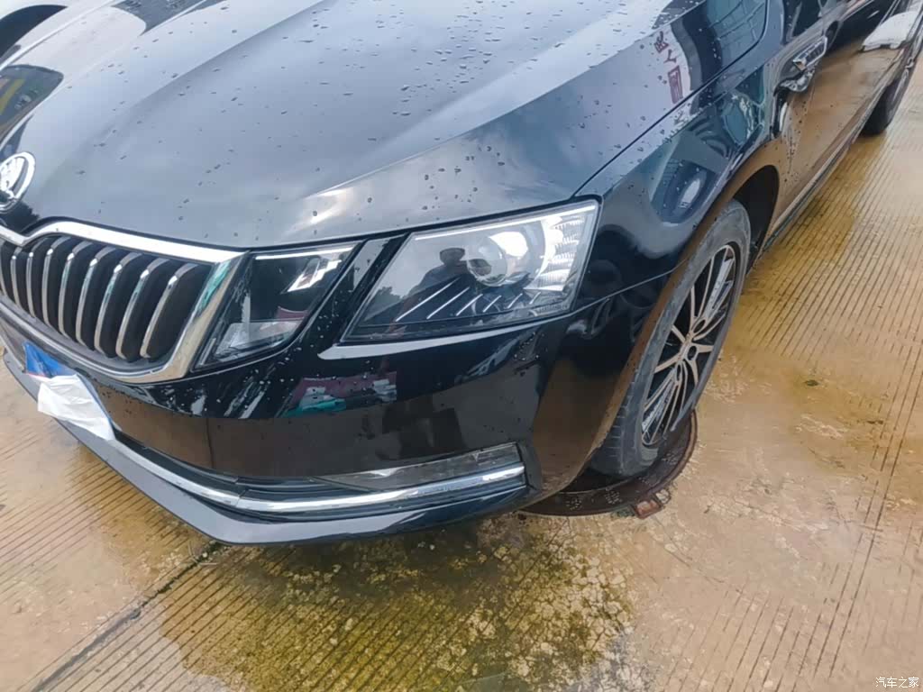 Skoda Octavia, 2019 24