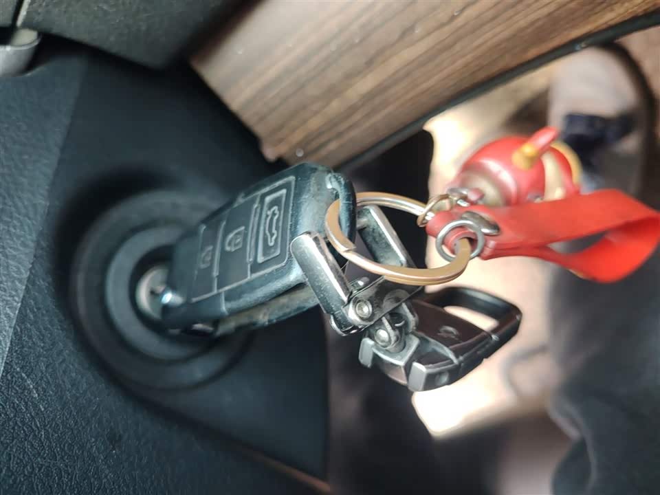 Forthing Lingzhi PLUS