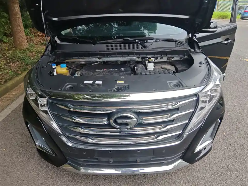 Trumpchi Trumpchi M8