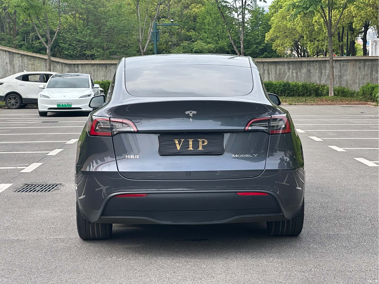 Tesla Model Y, 2023 4