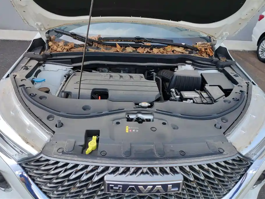 Haval M6 Haval M6