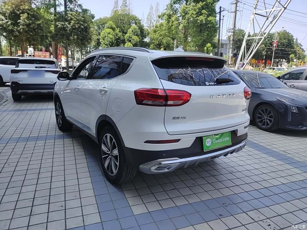 Haval H6, 2020 все фото