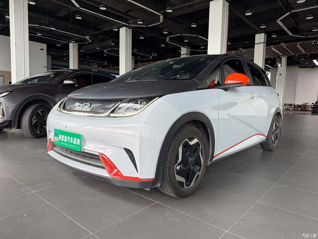 BYD Dolphin, 2022 1