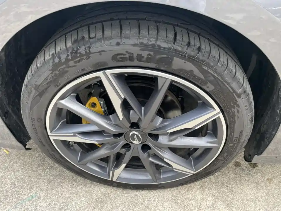 Trumpchi Shadow Leopard