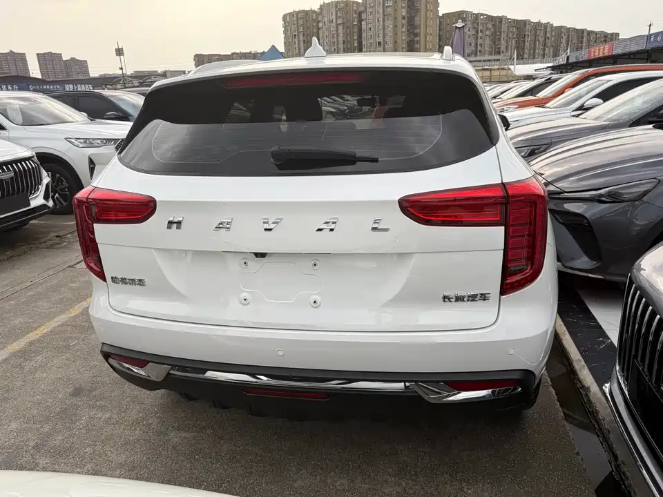 Haval First love