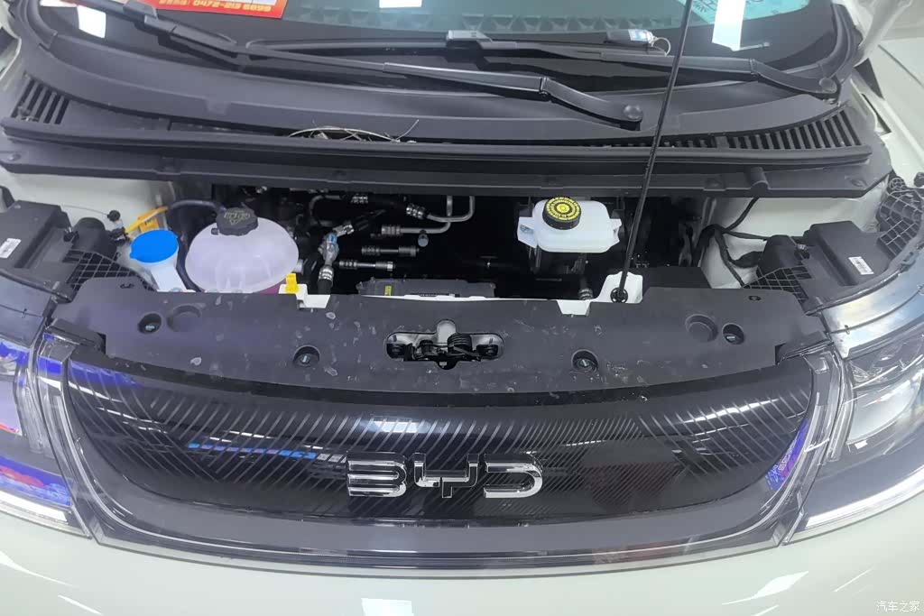 BYD Dolphin, 2026 10