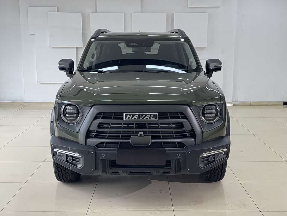 Haval Big dog