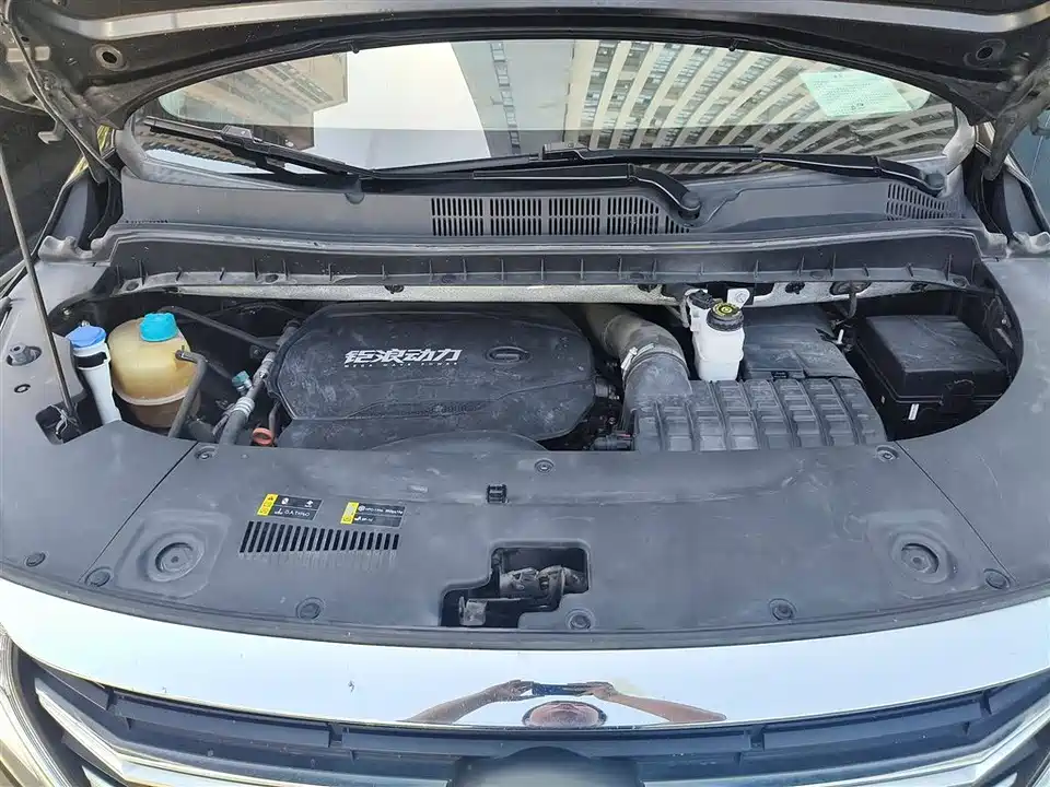 Trumpchi Trumpchi M8