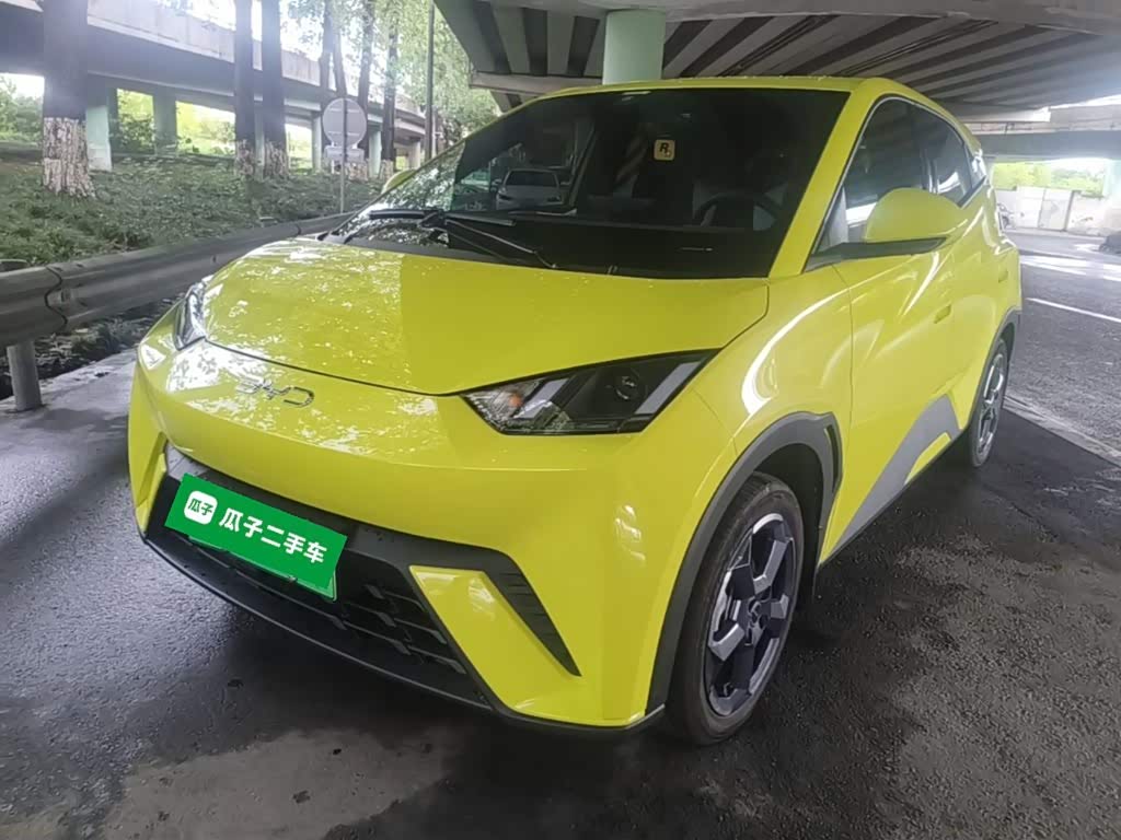BYD Seagull