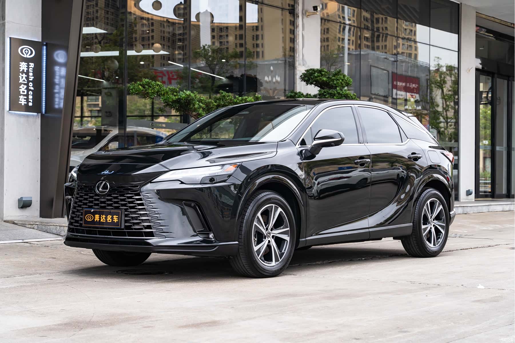 Lexus RX, 2025 1