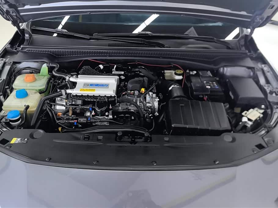 Trumpchi Shadow Leopard