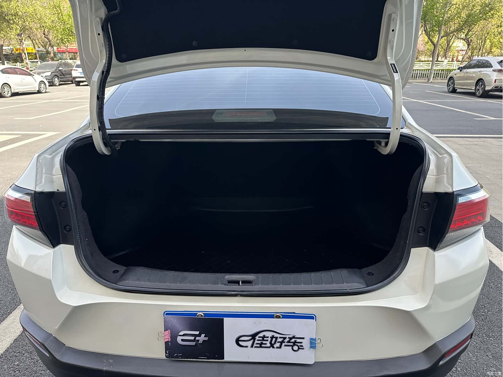 Nissan D60, 2018 14