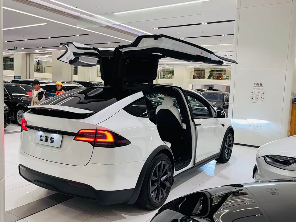 Tesla Model X
