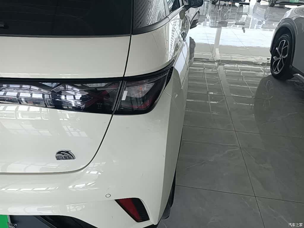 BYD Dolphin, 2024 8