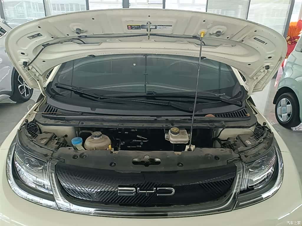 BYD Dolphin, 2024 20