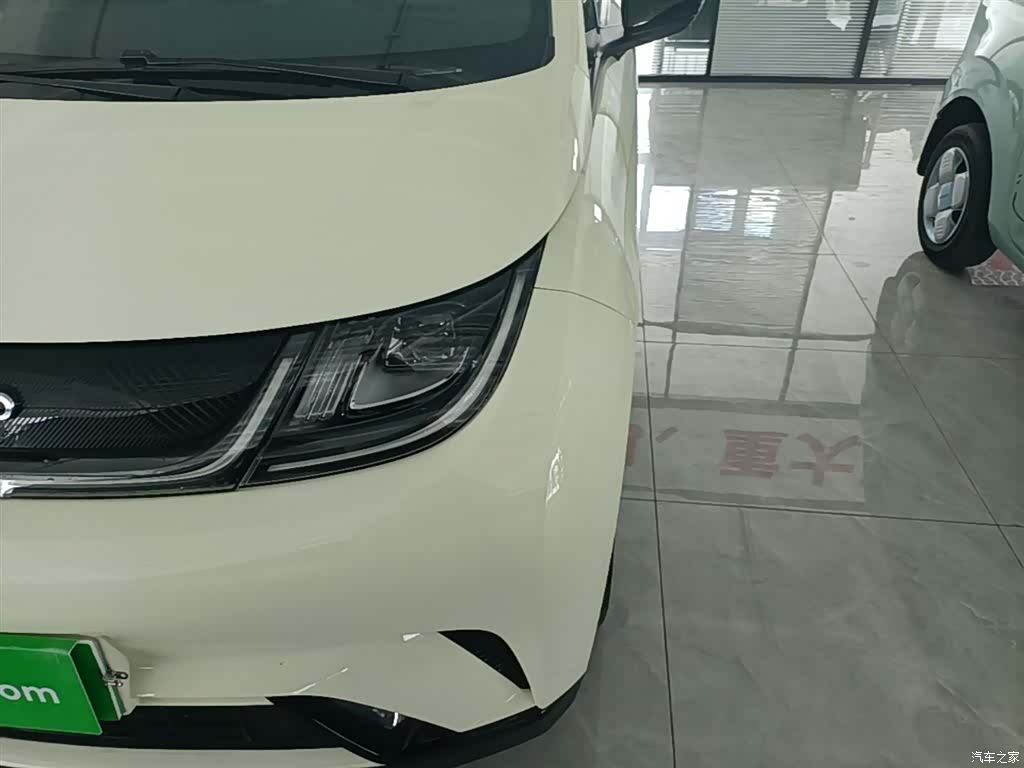 BYD Dolphin, 2024 24