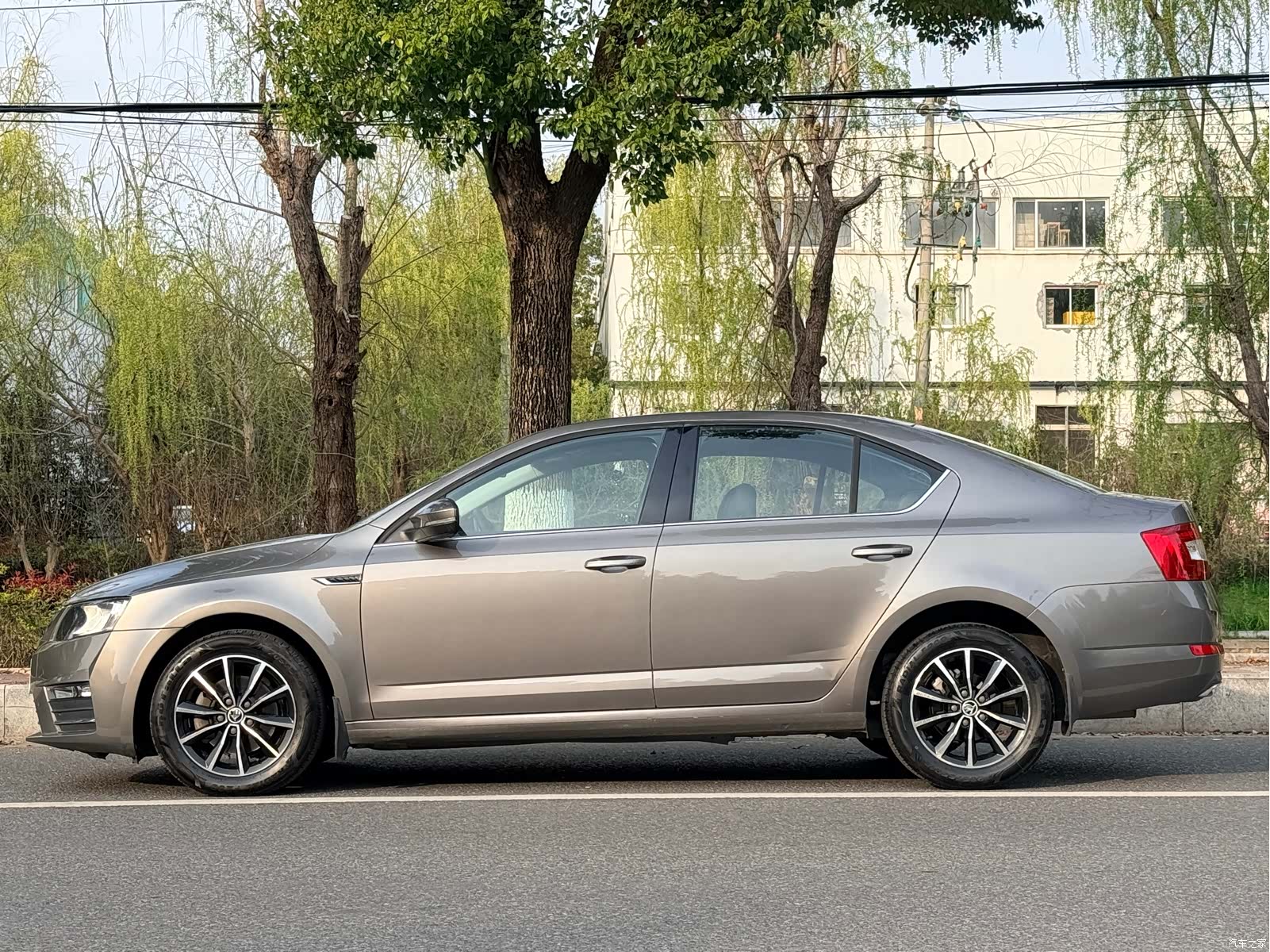 Skoda Octavia, 2016 все фото