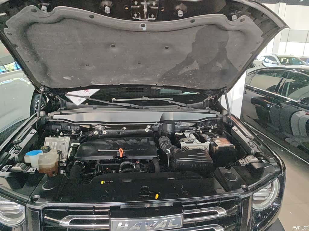 Haval Big Dog, 2022 17